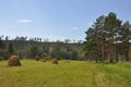 Haystacks in a forest glade. Royalty Free Stock Photo