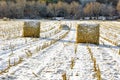 Haystacks on the Frozen Field