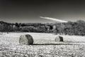 Haystacks on the Frozen Field in Black and White Royalty Free Stock Photo