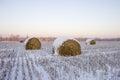 Haystacks on the frozen field Royalty Free Stock Photo