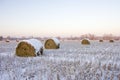 Haystacks on the frozen field Royalty Free Stock Photo