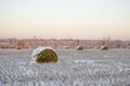 Haystacks on the frozen field Royalty Free Stock Photo