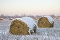 Haystacks on the frozen field