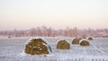 Haystacks on the frozen field Royalty Free Stock Photo