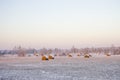 Haystacks on the frozen field Royalty Free Stock Photo