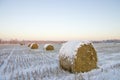 Haystacks on the frozen field Royalty Free Stock Photo