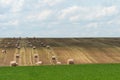 Haystacks harvest on agriculture farm fields. Farm field bales agriculture landscape. Haystack harvest landscape. The beet field Royalty Free Stock Photo