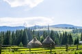 Haystacks on the hill Royalty Free Stock Photo