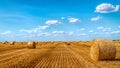 haystacks lie in a field on a farm, grain harvest