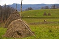 Haystacks on a meadow for cow pasture Royalty Free Stock Photo