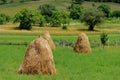 Spring landscape. Haystacks in a green meadow Royalty Free Stock Photo