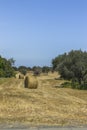 Haystacks on a meadow Royalty Free Stock Photo