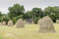 Haystacks on a meadow Royalty Free Stock Photo