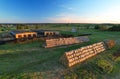 Haystacks near farm with cows and pigs. Hay in rolls at cowsheds. Haystack for Animal husbandry. Hay bale in Agriculture. Farm