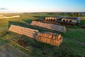 Haystacks near farm with cows and pigs. Hay in rolls at cowsheds. Haystack for Animal husbandry. Hay bale in Agriculture. Farm