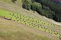 Haystacks near Kartitsch in Gailtal, Austria
