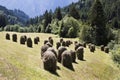 Haystacks in Pustertal, Tyrol, Austria Royalty Free Stock Photo