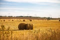 Haystacks ready for autumn