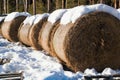 Haystacks and snow Royalty Free Stock Photo