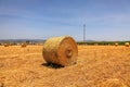 Haystacks. Straw bales on mown field. Israel countryside Royalty Free Stock Photo