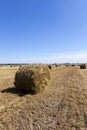 Haystacks straw . cereal