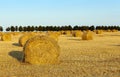 Haystacks straw. cereal