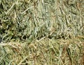 Haystacks straw close up