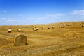 Haystacks straw, field