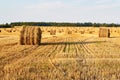 Haystacks straw left after harvesting