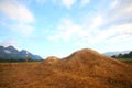 Haystacks straw in a wheat field after harvest