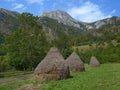 Haystacks on Via Transilvanica trail in Mehedinti Mountains, Romania, Europe