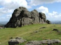 Haytor Rock Dartmoor South West England