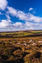 Haytor Rocks Dartmoor Park Devon England Europe Royalty Free Stock Photo