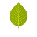 Hazel leaf icon, flat style