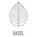 Hazel leaf icon, outline style.