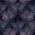 Hazel leaves on a dark blue background