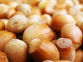 Hazel nuts Royalty Free Stock Photo