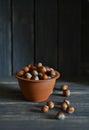 Hazel nuts in a clay bowl Royalty Free Stock Photo