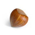 Hazelnut Royalty Free Stock Photo