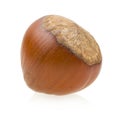 Hazelnut Royalty Free Stock Photo