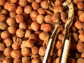 Hazelnut Royalty Free Stock Photo