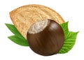 Hazelnut and almond isolated closeup with leaf as package design elements. Fresh filbert on white background. Macro two Nuts. Royalty Free Stock Photo