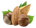 Hazelnut and almond isolated closeup with leaf as package design elements. Fresh filbert on white background. Macro four Nuts. Royalty Free Stock Photo