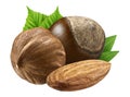 Hazelnut and almond isolated closeup with leaf as package design elements. Fresh filbert on white background. Macro Three Nuts.