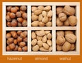 Hazelnut, almond, and walnut Royalty Free Stock Photo