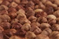 Hazelnut background. Pile of selected hazel close-up. Royalty Free Stock Photo