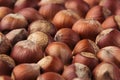 Hazelnut background. Pile of selected hazel close-up. Royalty Free Stock Photo