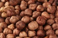 Hazelnut background. Pile of selected hazel close-up. Royalty Free Stock Photo