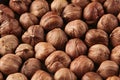 Hazelnut background. Pile of selected hazel close-up. Royalty Free Stock Photo