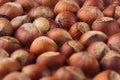 Hazelnut background. Pile of selected hazel close-up. Royalty Free Stock Photo